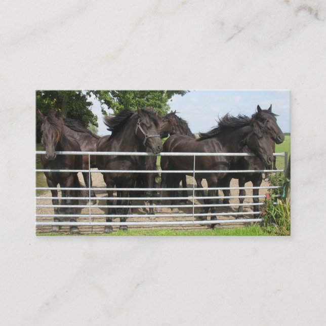 Horses at the Fence Business Card (Front)
