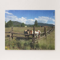 Horses At The Rustic Log Pole Fence Photography