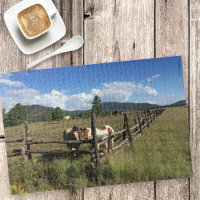 Horses At The Split Rail Fence Photography