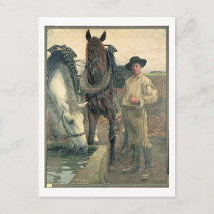Horses at the Water Trough, 1884 (oil on canvas) Postcard