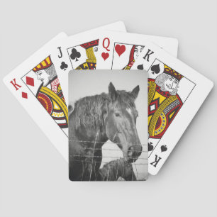Horses Behind the Fence in Black and White Playing Cards