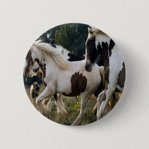 HORSES BLACK AND WHITE 1.PNG 6 CM ROUND BADGE