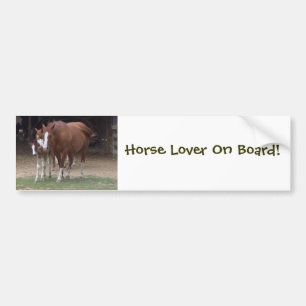 Horses Bumper Sticker