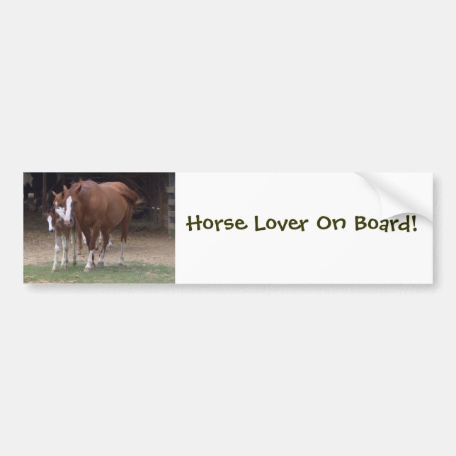 Horses Bumper Sticker (Front)