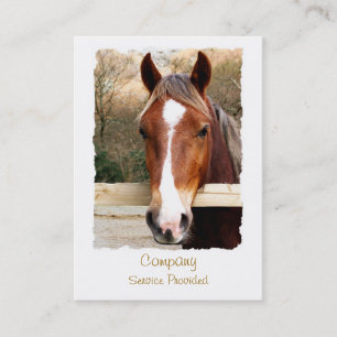 HORSES BUSINESS CARD