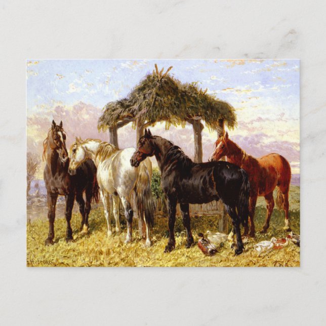 Horses by a river circa 1800s postcard (Front)