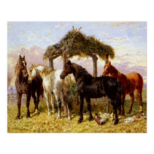 Horses by a river circa 1800s poster