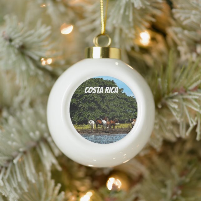Horses by the water - Costa Rica  Ceramic Ball Christmas Ornament (Tree)