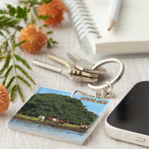 Horses by the water - Costa Rica  Key Ring
