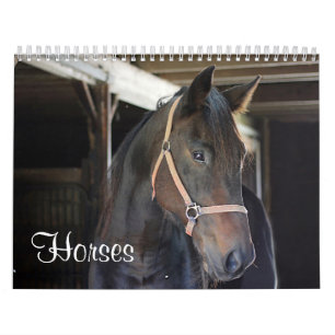 Horses Calendar