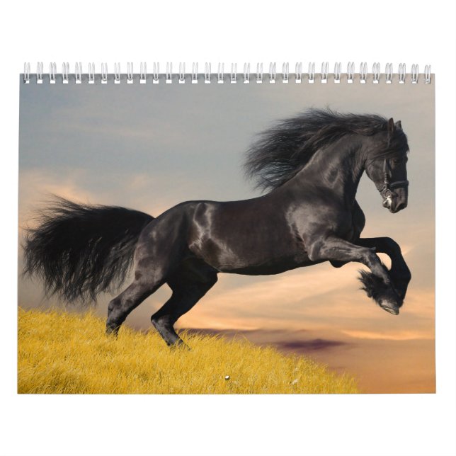Horses Calendar (Cover)