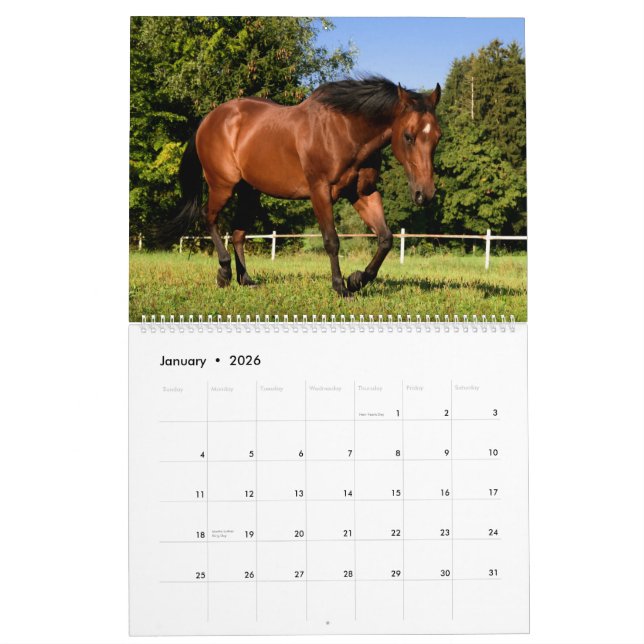 Horses Calendar (Jan 2026)
