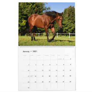 Horses Calendar