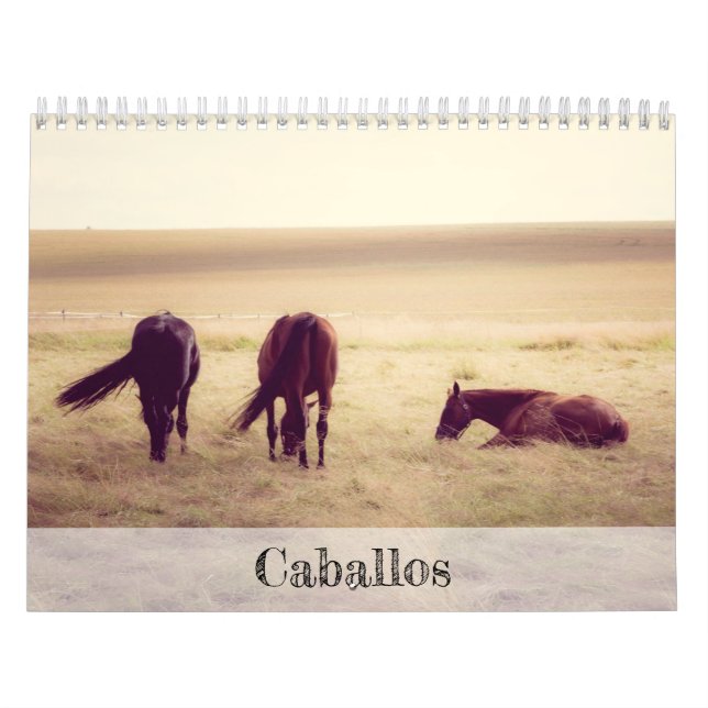 Horses Calendar (Cover)