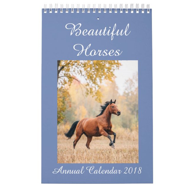 Horses Calendar 2018 (Cover)