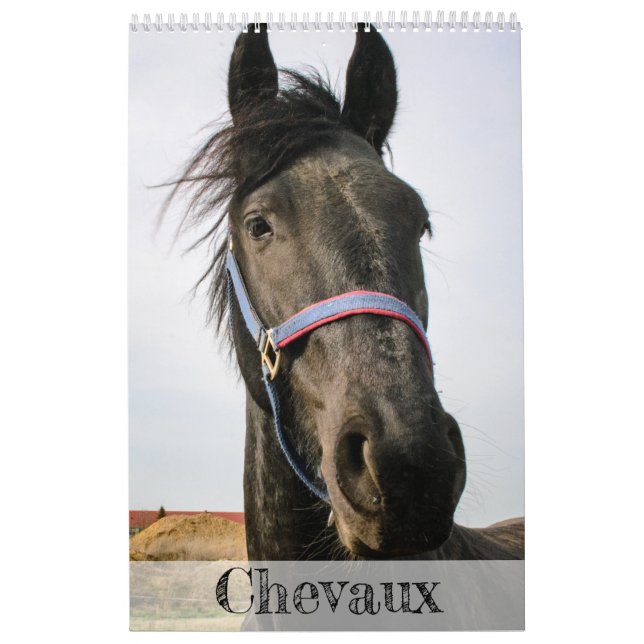 Horses Calendar... Calendar (Cover)