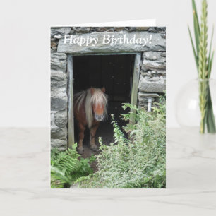 HORSES CARD