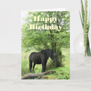 HORSES CARD