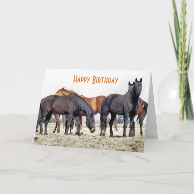 HORSES CARD (Front)