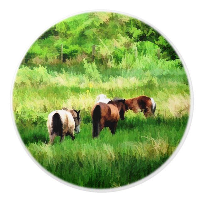 HORSES CERAMIC KNOB (Front)