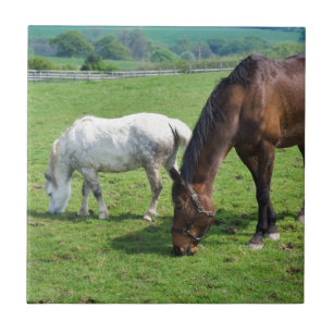 Horses Ceramic Tile