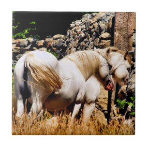 HORSES CERAMIC TILE
