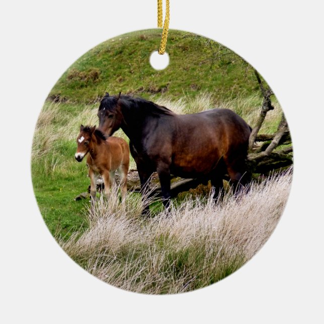 HORSES CERAMIC TREE DECORATION (Front)