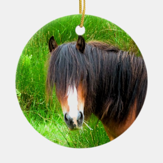 HORSES CERAMIC TREE DECORATION (Front)