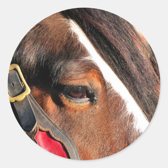 HORSES CLASSIC ROUND STICKER (Front)