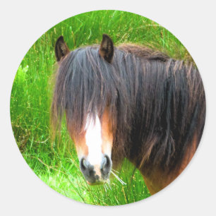 HORSES CLASSIC ROUND STICKER