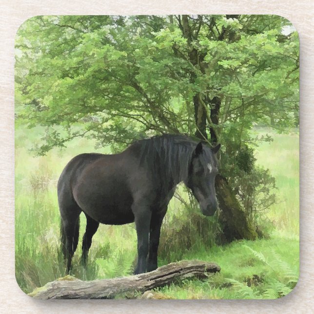 HORSES COASTER (Front)