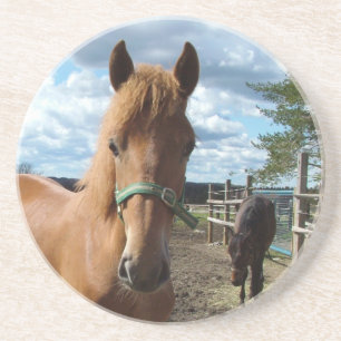 Horses coaster
