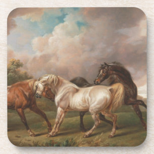  Horses  Coaster