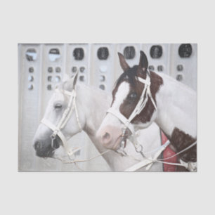 Horses Country Rustic White Brown Western Tissue Paper