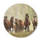 Horses cresting small hill during roundup