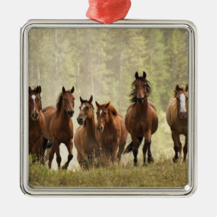 Horses cresting small hill during roundup metal ornament