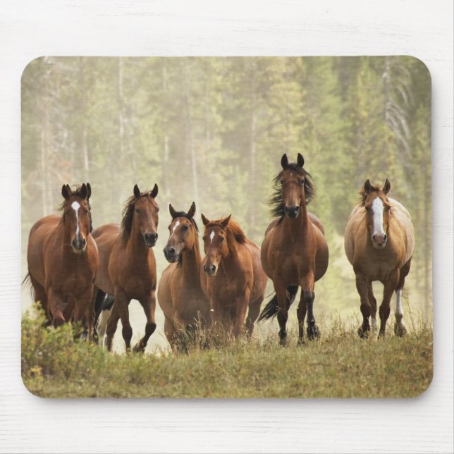 Horses cresting small hill during roundup mouse pad (Front)