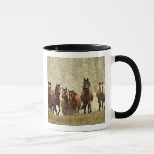 Horses cresting small hill during roundup mug