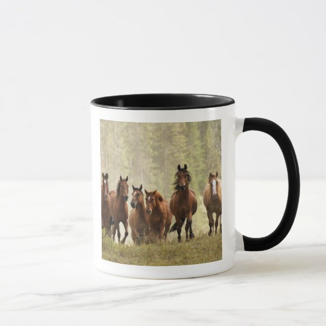 Horses cresting small hill during roundup mug (Right)