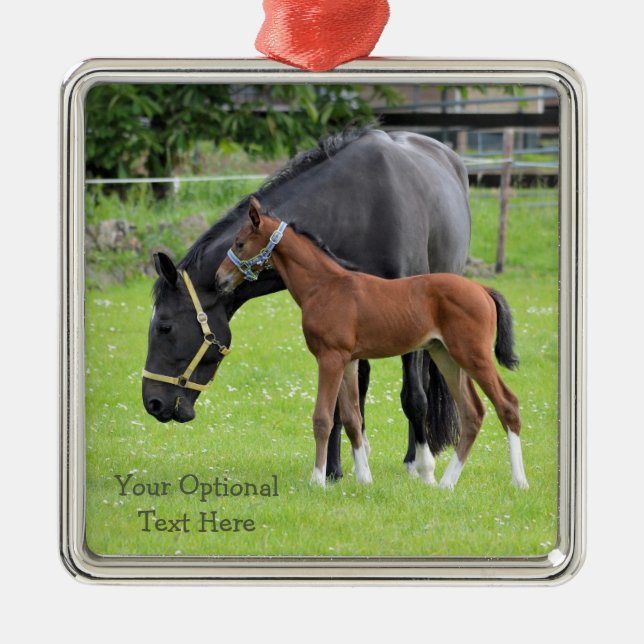Horses custom ornaments (Front)