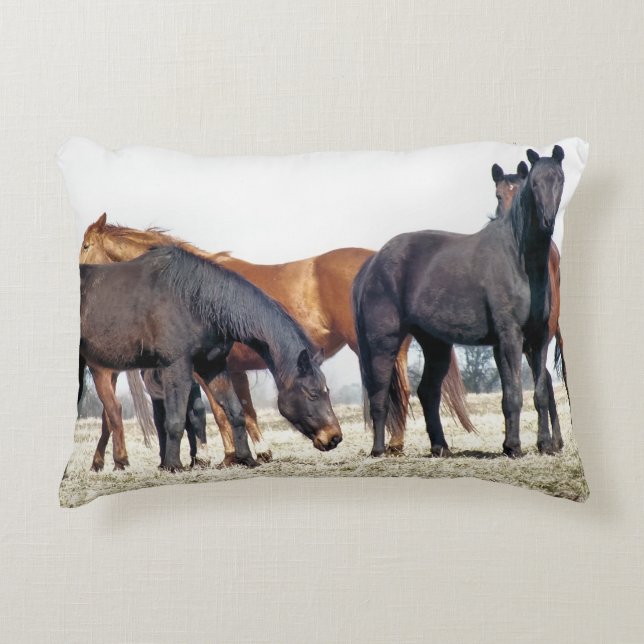 HORSES DECORATIVE CUSHION (Front)