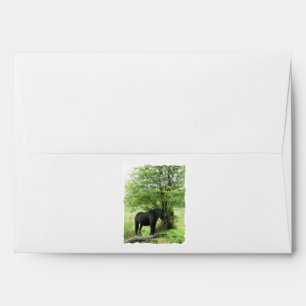 HORSES ENVELOPE
