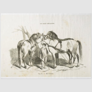 Horses Ephemera Decoupage Vintage French Tissue Pa Paper