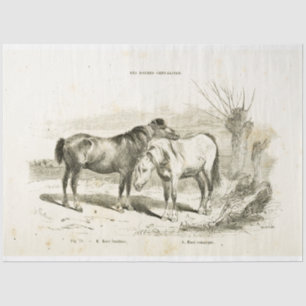 Horses Ephemera Decoupage Vintage French Tissue Paper