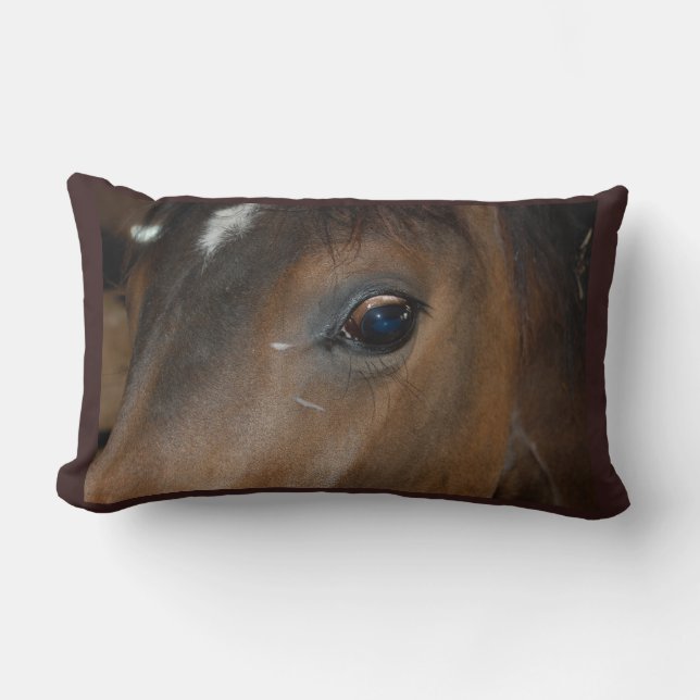 Horses Eye Lumbar Cushion (Front)