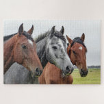Horses Farm Animal Nature Jigsaw Puzzle<br><div class="desc">This nature themed jigsaw puzzle features three horses in a pasture looking at the camera #horse #horses #animal #animals #farm #farmlife #nature #landscape  #outdoor #landscape #jigsaw #puzzle #jigsawpuzzle #gifts #gift #fun #stockingstuffers #games</div>