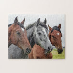 Horses Farm Animal Nature Jigsaw Puzzle<br><div class="desc">This nature themed jigsaw puzzle features three horses in a pasture looking at the camera #horse #horses #animal #animals #farm #farmlife #nature #landscape  #outdoor #landscape #jigsaw #puzzle #jigsawpuzzle #gifts #gift #fun #stockingstuffers #games</div>