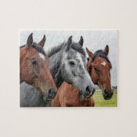 Horses Farm Animal Nature