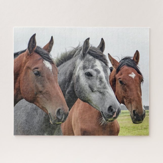 Horses Farm Animal Nature Jigsaw Puzzle (Horizontal)