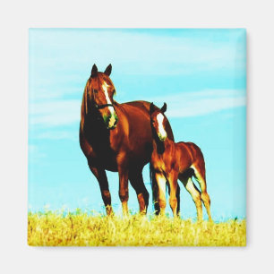 Horses Farm Cute Animal Nature Destiny Magnet